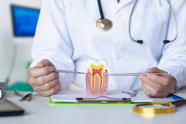 Emergency Dental Services for Seniors